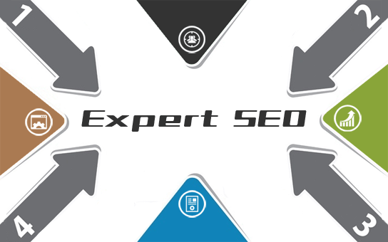サイト改善で強いサイトを手に入れる！「Expert SEO」