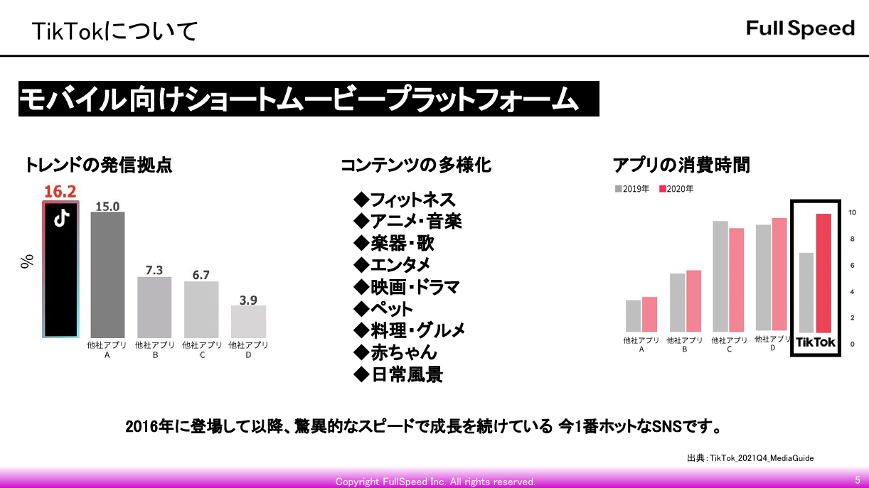 TikTok運用支援サービス2
