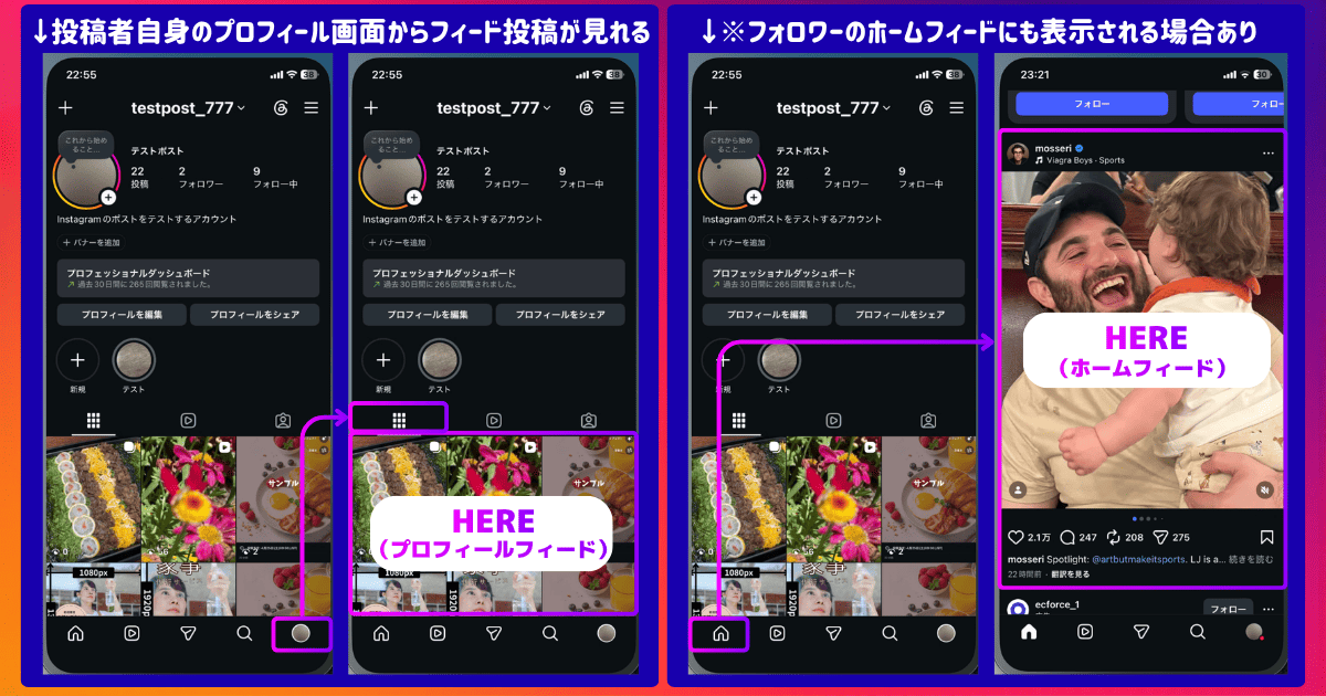 フィード投稿はどこに表示される?